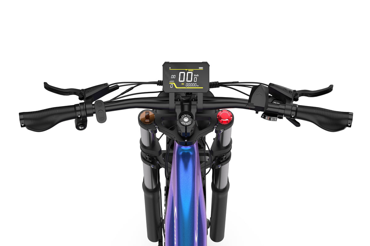 DUOTTS E26 Elektrofahrrad DUOTTS E26 Elektrofahrrad